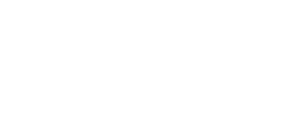 Nextgen-Service Logo